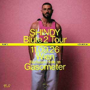 Logo SHINDY